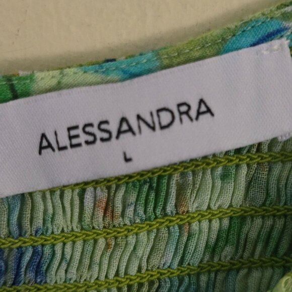 ALESSANDRA NWT Cameo Dress Delilah Meadow Puff 3/4 Sleeve Smocked Pockets Size L - Picture 12 of 13